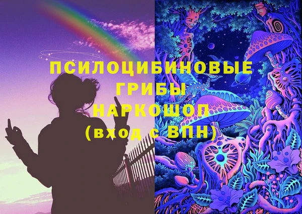 дурь Алзамай