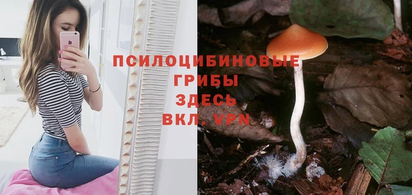 эйфоретик Алексин