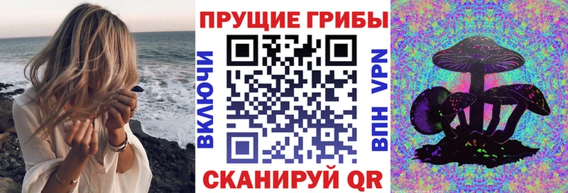 где продают   Нижние Серги  Галлюциногенные грибы Cubensis 